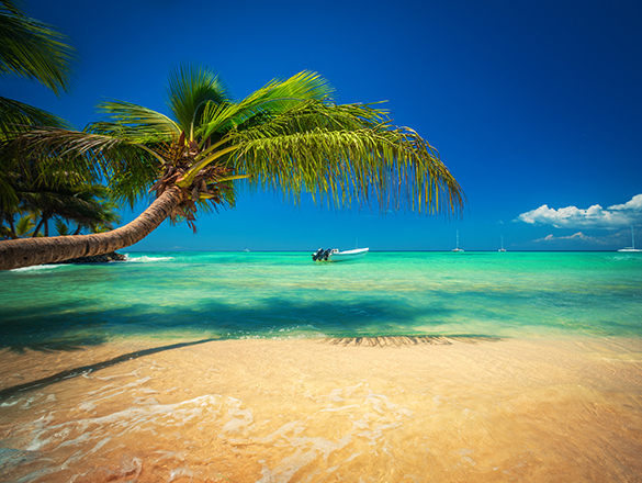 Exotic Beach in Dominican Republic, Punta Cana
